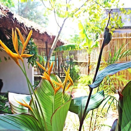 An Bang Purple Homestay Χόι Αν Εξωτερικό φωτογραφία