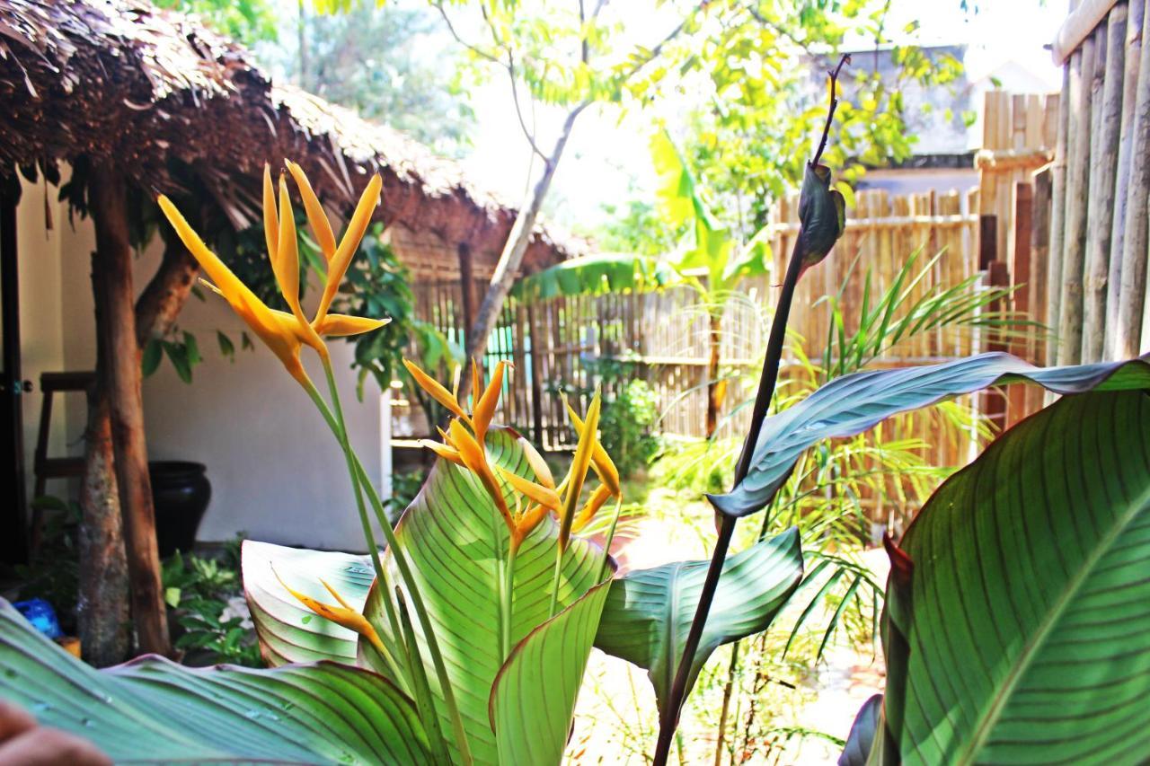 An Bang Purple Homestay Χόι Αν Εξωτερικό φωτογραφία