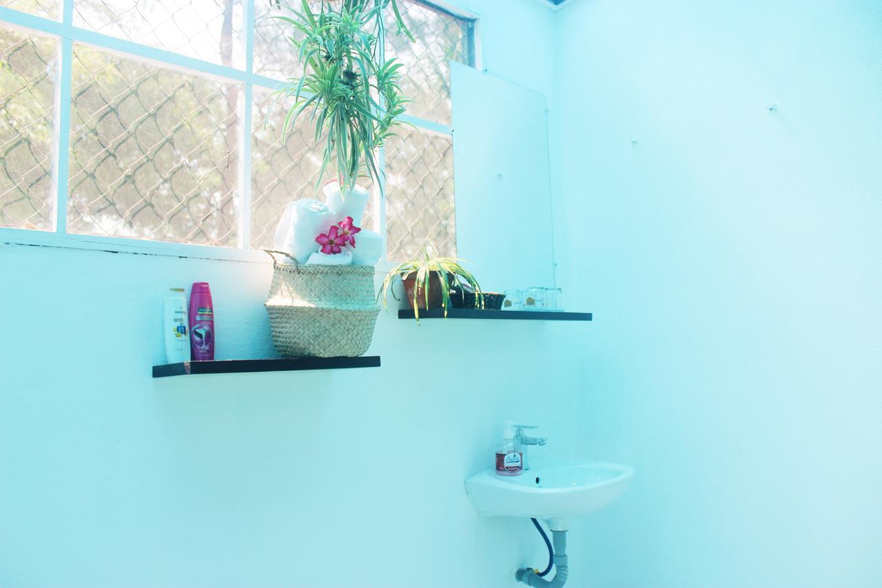 An Bang Purple Homestay Χόι Αν Εξωτερικό φωτογραφία