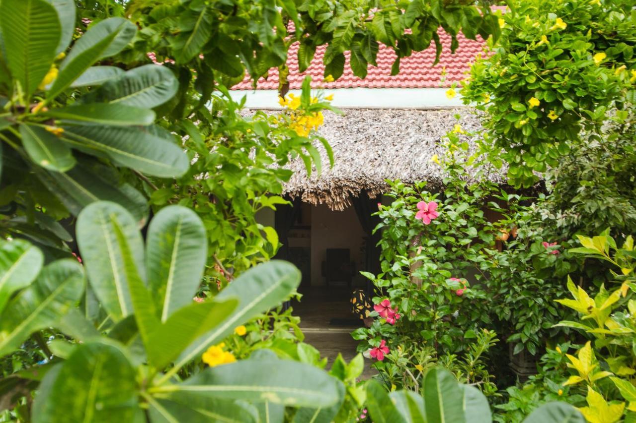 An Bang Purple Homestay Χόι Αν Εξωτερικό φωτογραφία